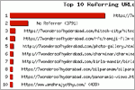 Top 10 Reffering URLs, click here to see large picture.