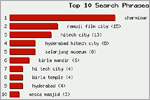 Top 10 Search Phrases, click here to see large picture.