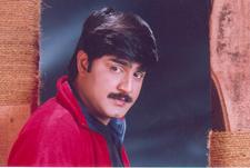 Telugu Cinema Hero, Srikanth