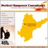 Website Design Portfolio - Perfect Manpower Consultants