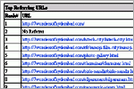Top Referring URLs, click here to see large picture.
