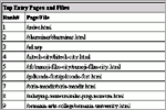 Top Entry Pages and Files, click here to see large picture.