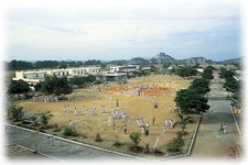 Picturesque Landscape
