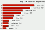 Top 10 Search Keywords, click here to see large picture.
